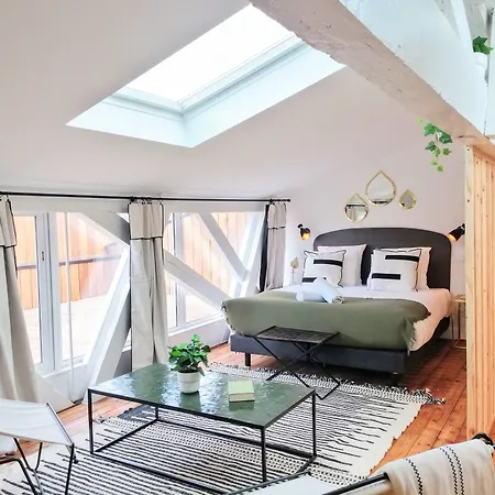 Volubilis Luxury 4* Бордо