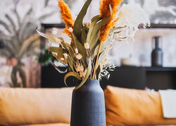 Volubilis Luxury ボルドー