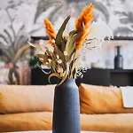 Volubilis Luxury بوردو